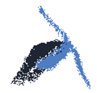 frequency Image