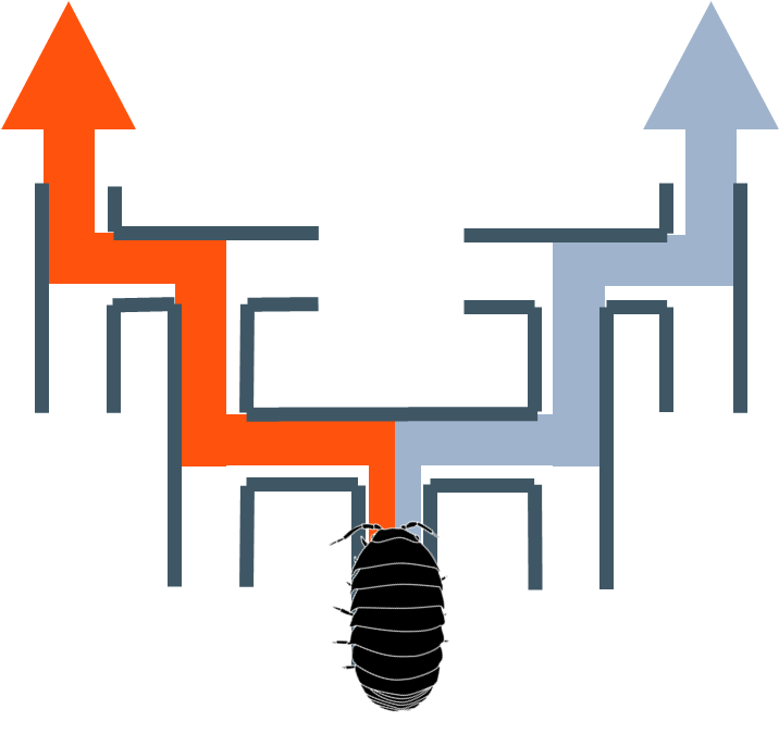 Publication Image